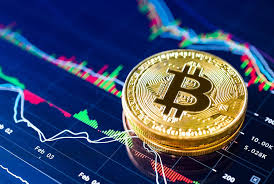 The Future of Investing Crypto Trading Software Bot The Future of Investing Crypto Trading Software Bot
